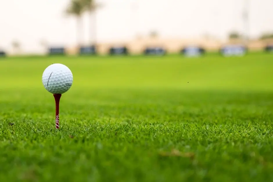 Callaway bambusové tíčka 83 mm (100 ks)