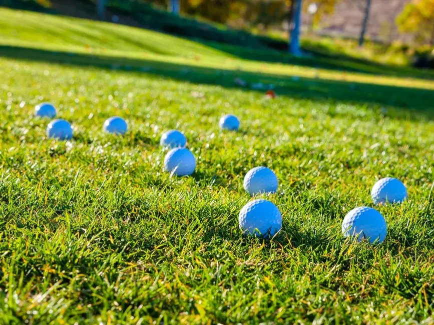 Hrané lopty Titleist Pro V1 — trieda A (25 ks)
