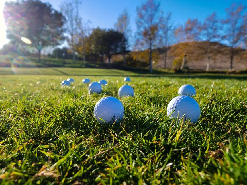 Titleist Pro V1 (12 ks)