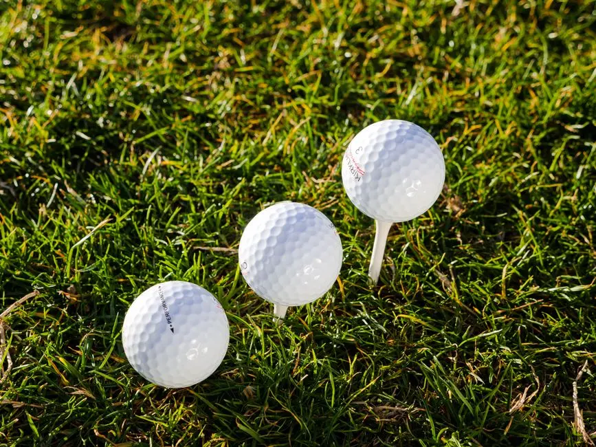 Titleist Pro V1x (12 ks)